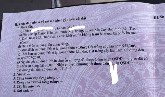 Đất thổ cư 1.033m² tại Phước Mỹ Trung, Mỏ Cày Bắc - Chỉ 1.6 tỷ!