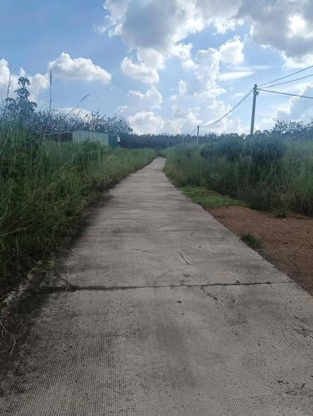 Đất thổ cư Tân Phước, Đồng Phú, Bình Phước 220m² giá 300 triệu - Cơ hội đầu tư tuyệt vời!