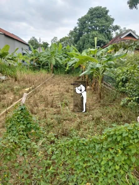 Đất nền Lạc Thịnh Yên Thủy 104m² giá 400 triệu - Đầu tư sinh lời ngay!