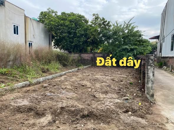 Đất nền lô góc 80m² Kỳ Dương - Thường Tín, Hà Nội chỉ 3 tỷ - Cơ hội đầu tư tuyệt vời!