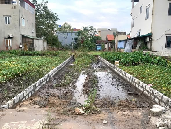 Đất Xâm Động, Vân Tảo, Thường Tín 93.3m² chỉ 5 tỷ - Đường thông thoáng tiện lợi!