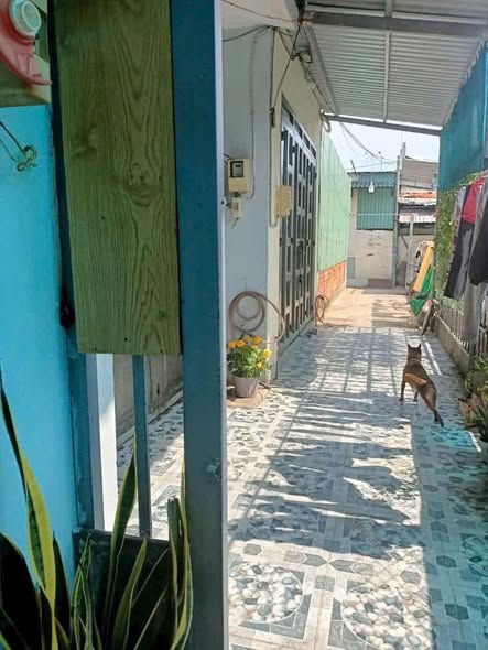 Nhà phố Bà Điểm Hóc Môn 40m² giá 1.36 tỷ - Đường thông, gần chợ