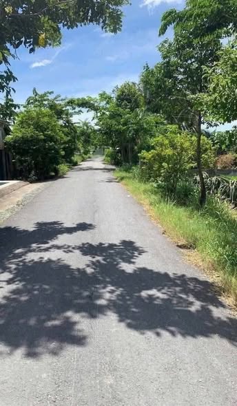 Đất mặt tiền đường nhựa 1256m² xã Hiệp Thạnh, Châu Thành - Giá 1.999 tỷ, thương lượng