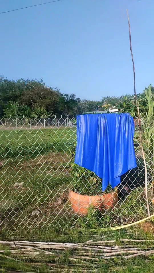 Đất thổ cư Lộc Phước, Trảng Bàng 312m² giá 850 triệu - Vị trí dân cư đông đúc!