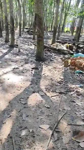 Đất thổ cư An Lợi, Trảng Bàng 350m² giá 800 triệu - Đường thông, khu dân cư đông đúc!