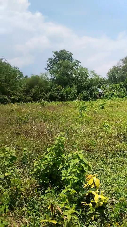 Bán đất khu phố Gia Lâm, phường Gia Lộc, Trảng Bàng 560m² giá 750 triệu - Cơ hội đầu tư tốt!