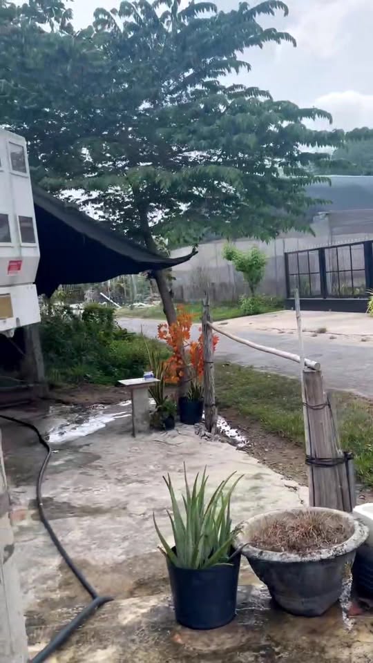 Nhà mặt tiền nhựa KP Hòa Hưng, Trảng Bàng 140m² giá 1.6 tỷ - Sẵn sàng ở ngay!