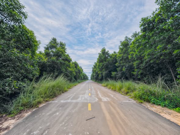 Bán đất mặt tiền Lê Đức Thọ, Bình An - 2.354m² chỉ 1.2 tỷ - Cơ hội đầu tư hiếm có!