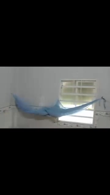 Nhà bán chính chủ tại xã Tân Thạnh, Tân Châu - Giá 800 triệu, thương lượng trực tiếp!