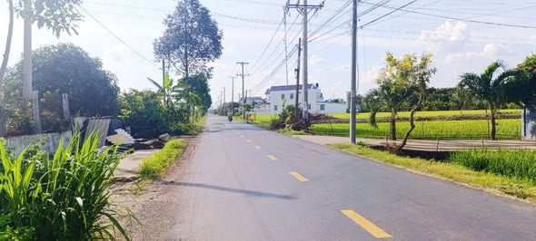 Đất lúa 1050m² mặt tiền nhựa 833C, Mỹ Thạnh, Tân Trụ - Chính chủ bán gấp!