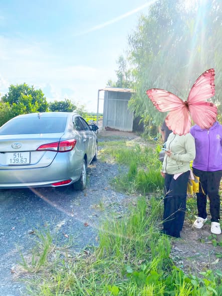 Đất vườn 1000m² tại Bình Đức, Bến Lức, Long An chỉ 949 triệu - Sổ hồng riêng, đầu tư sinh lời!