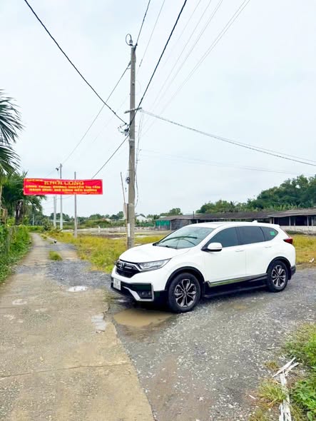 Đất nền Bình Lãng - Huyện Tân Trụ - Diện tích 150m² chỉ 450 triệu - Sổ hồng riêng từng lô!