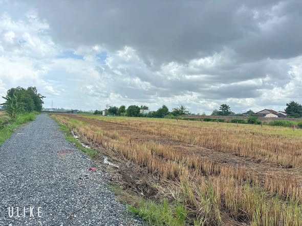 Đất thổ cư ô tô trước đất tại xã Nhựt Tảo, Long An - 1.5 tỷ, cơ hội đầu tư sinh lời!