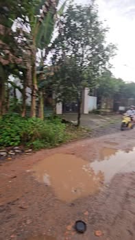 Đất mặt tiền đường Vành Đai, phường Hội Nghĩa, 216m² - Đầu tư sinh lời hấp dẫn!