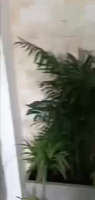 Nhà cấp IV Pleiku 100m² giá 3 tỷ - Sẵn sàng vào ở ngay!