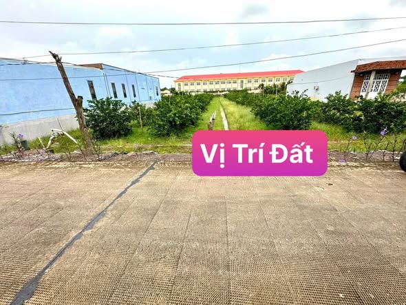 Đất vườn Thạnh Hòa, Bến Lức 840m² giá chỉ 1.344 tỷ - Sổ hồng riêng, đầu tư sinh lời!