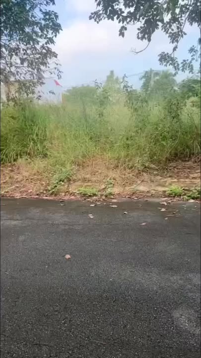 Đất nền Cầu Suối Đôi, Lai Hưng, Bến Cát 125m² giá chỉ 900 triệu - Cơ hội đầu tư không thể bỏ qua!