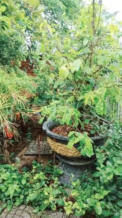 Nhà riêng Châu Đức 200m² giá 2.3 tỷ - Chính chủ bán gấp!