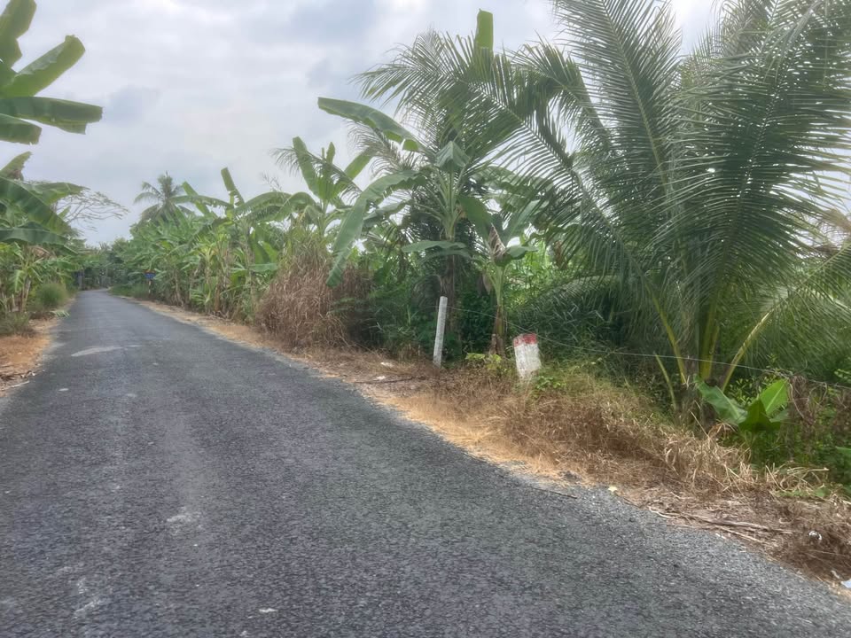 Đất nền 1847m² Phường Đông Thành, Bình Minh - Đầu tư sinh lời tuyệt vời!