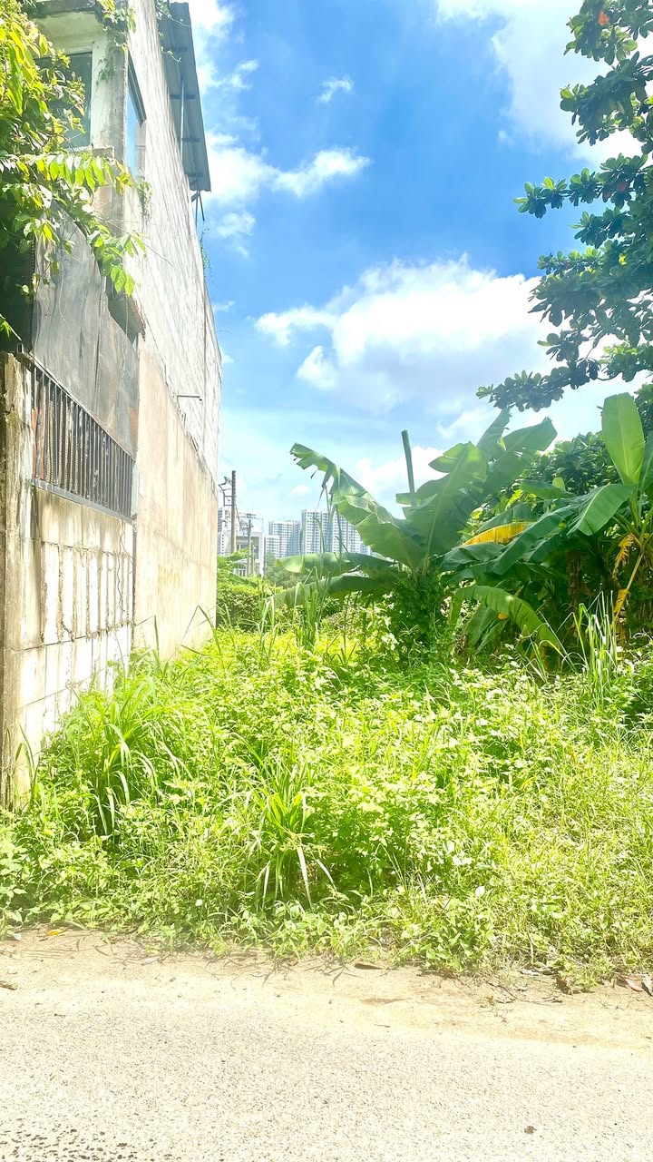 Đất nền Long Thạnh Mỹ, Thủ Đức 110m² giá 6 tỷ - Tiện xây dựng ngay!