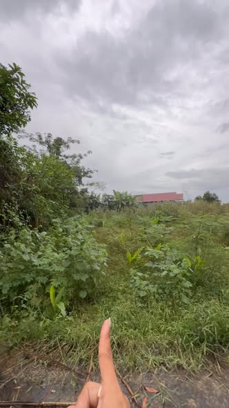 Đất thổ cư 50m² tại Thọ Lộc 2, Nhơn Thọ chỉ 239 triệu - Cơ hội đầu tư tuyệt vời!