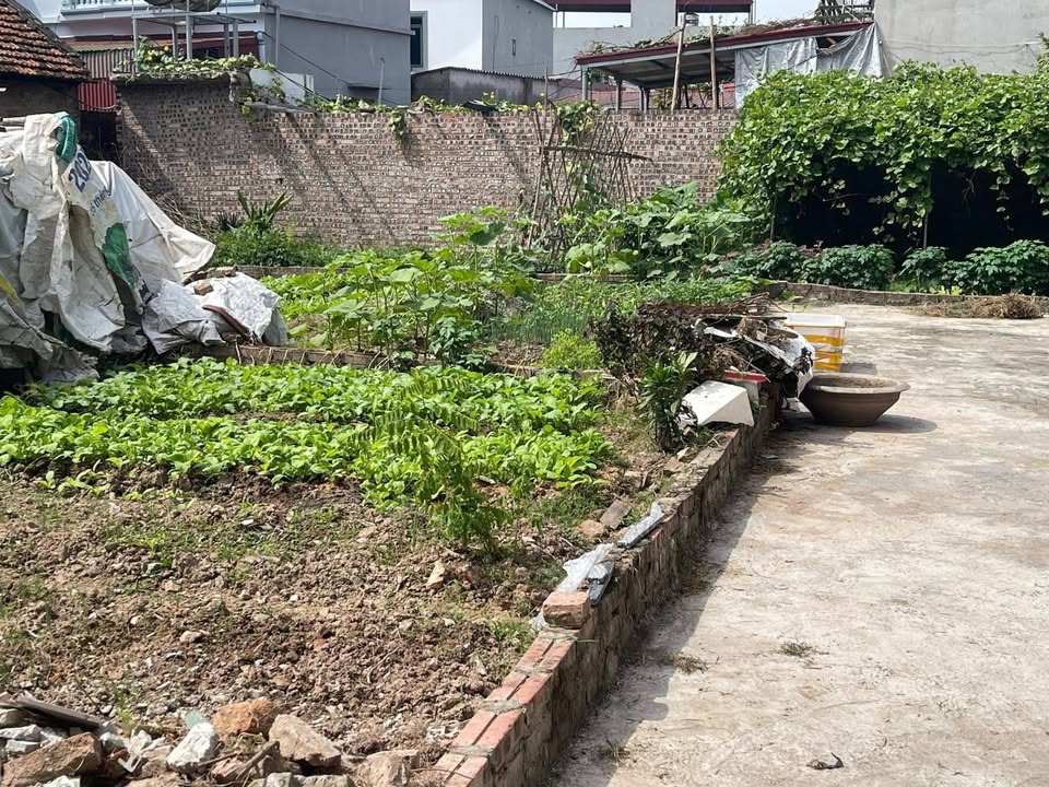 Đất nền 80m² xã Ngọc Tảo, Phúc Thọ giá 2 tỷ - Sổ đỏ chính chủ, đầu tư sinh lời!