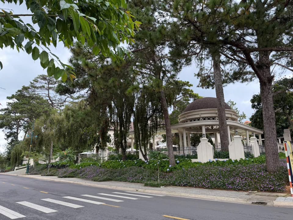 Đất xây dựng villa view đẹp tại Đà Lạt 222m² giá 7.5 tỷ - Cơ hội đầu tư hấp dẫn!