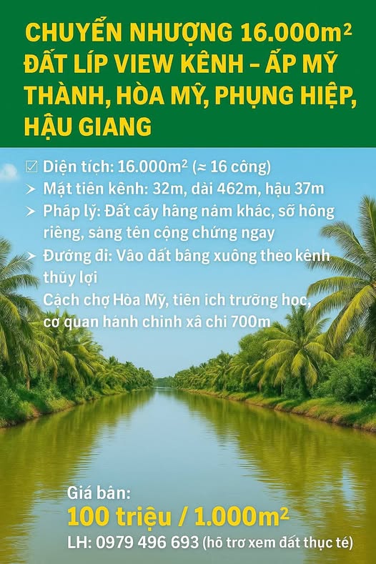 Đất nông nghiệp 16.000m² tại ấp Mỹ Thành, Hòa Mỹ - Tiềm năng phát triển lớn!