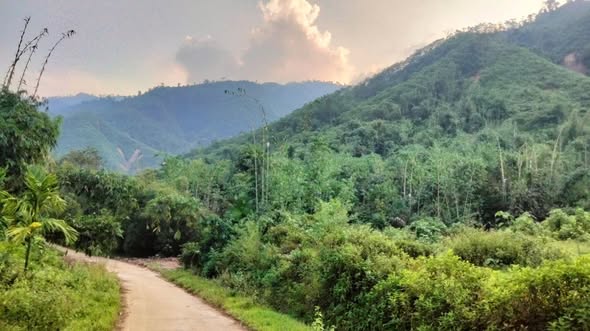 Đất RSX 2,6ha tại Mỹ Lung, Yên Lập, Phú Thọ giá 300 triệu - Tiềm năng đầu tư lớn!