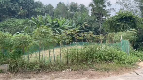 Đất thổ cư Vô Tranh, Hạ Hoà, Phú Thọ 332m² - Vị trí lô góc 2 mặt tiền đẹp!