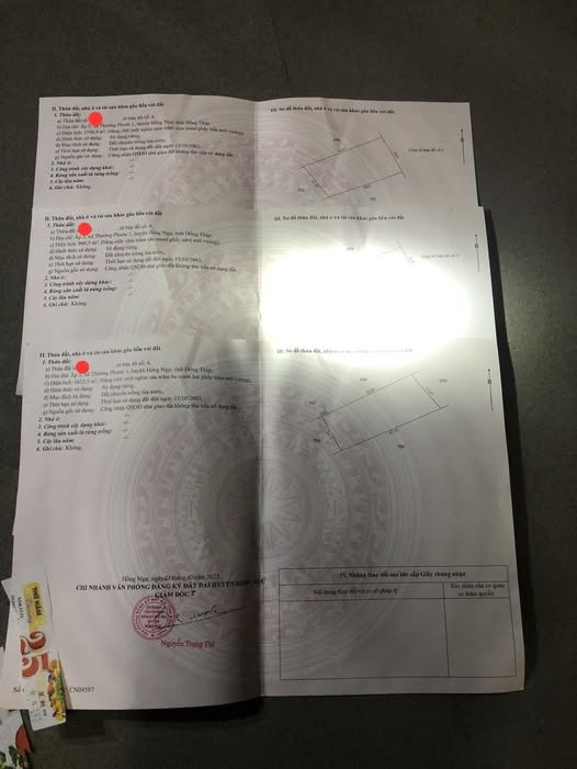 Đất lúa 4200m² tại Thường Phước, Hồng Ngự - Giá chỉ 504 triệu!