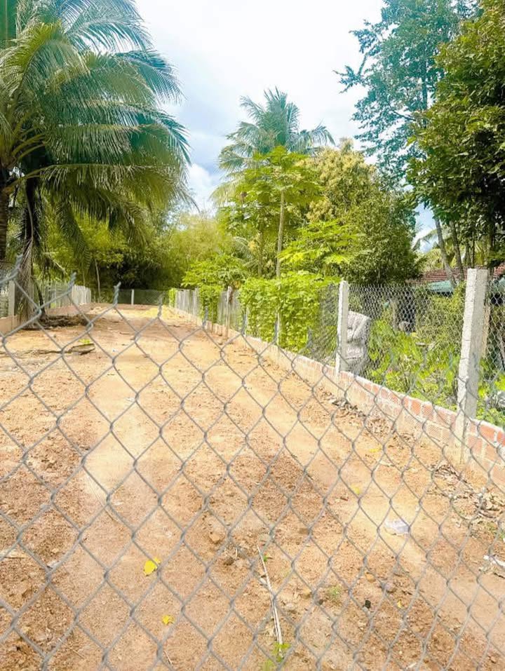 Đất thổ cư Ân Thạnh, Hoài Ân 264m² giá 1.2 tỷ - Vị trí kinh doanh đắc địa!