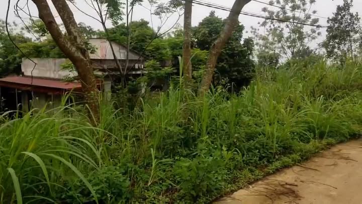 Đất nền Kỳ Phú Nho Quan 3851m² - Cơ hội đầu tư hấp dẫn!