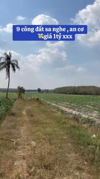 Đất nền 400m² tại An Cơ, Châu Thành - Giá tốt cho đầu tư!