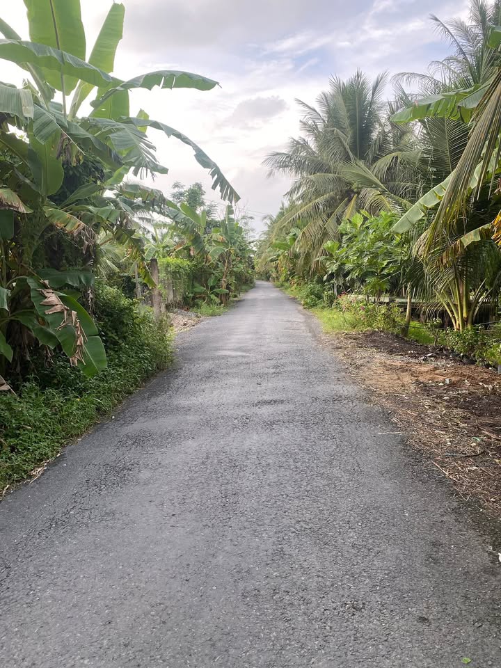 Đất 2 mặt tiền đường Long Hưng Châu Thành 344m² giá chỉ 999 triệu - Đầu tư lý tưởng!