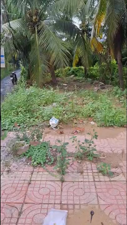 Đất nền góc 2 mặt tiền tại Mỹ An, 81m² giá chỉ 1.97 tỷ - Cơ hội đầu tư tuyệt vời!