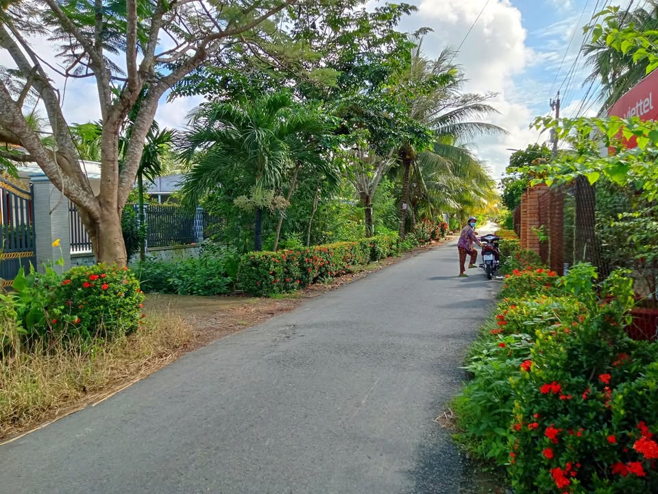 Nhà vườn An Thạnh Thủy 908m² giá 2.7 tỷ - Kinh doanh sinh lời ngay!