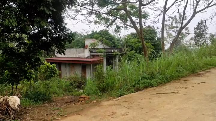 Đất thổ cư Kỳ Phú Nho Quan 3851m² - Cơ hội đầu tư hấp dẫn!