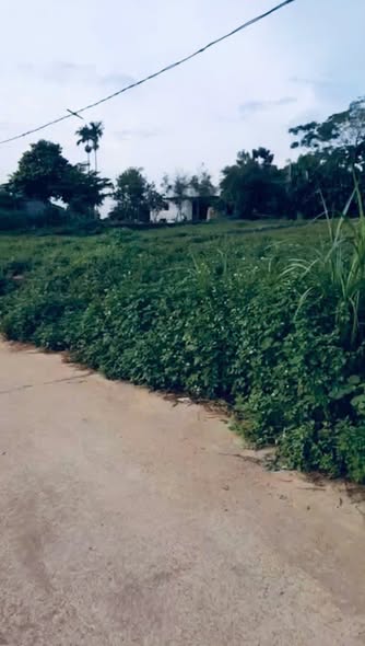 Đất nền nghỉ dưỡng Yên Bài Ba Vì 300m² giá chỉ 2 tỷ - Không khí trong lành, view núi tuyệt đẹp!