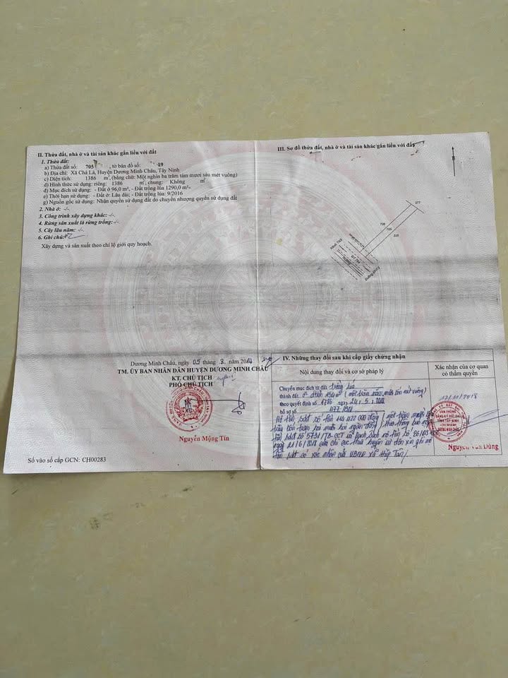 Đất mặt tiền đường 784, Dương Minh Châu 1386m² - Tiềm năng kinh doanh lớn!