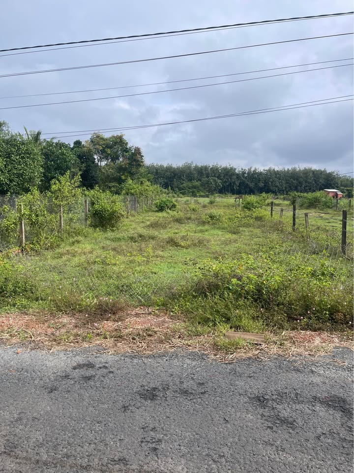 Đất thổ cư Bến Cầu 570m² giá 600 triệu - Đường thông, gần chợ và trường học!