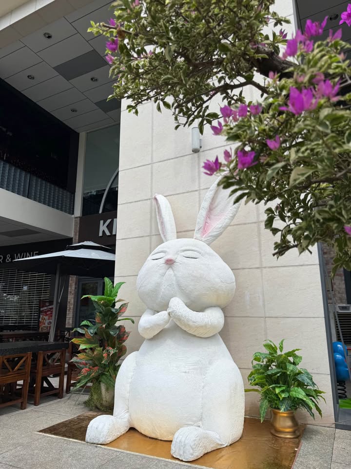 Đất 2 mặt tiền đường số 2, Tây Ninh, 279m² giá 7.254 tỷ - Cơ hội đầu tư hấp dẫn!