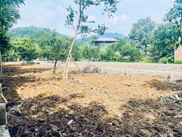 Đất nghỉ dưỡng Yên Bài, Ba Vì 150m² giá 360 triệu - View núi tuyệt đẹp!