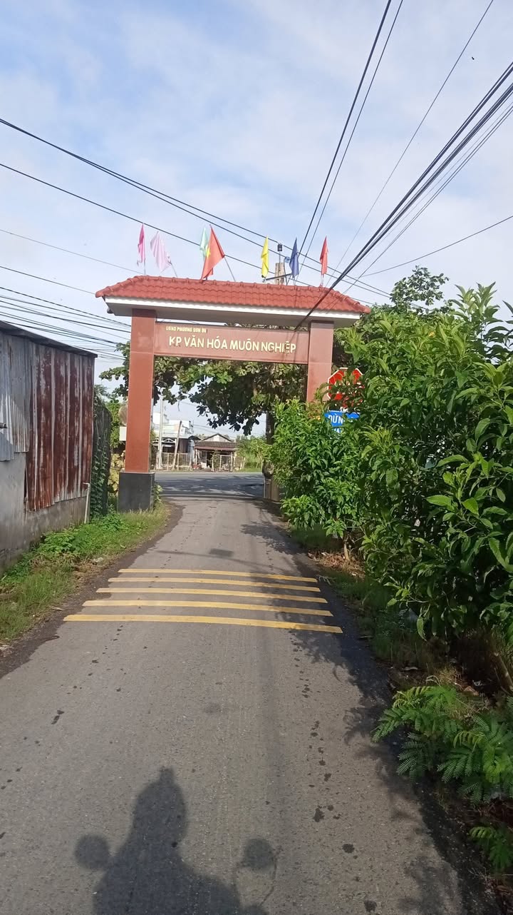 Nhà mặt tiền đường Bình Đông, Gò Công 539m² giá 2 tỷ - Hướng Nam, sẵn sàng vào ở!