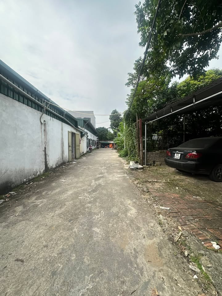 Nhà cấp 4 đường Hoàng Quốc Việt 87m² giá 3 tỷ - Tiện ích đầy đủ