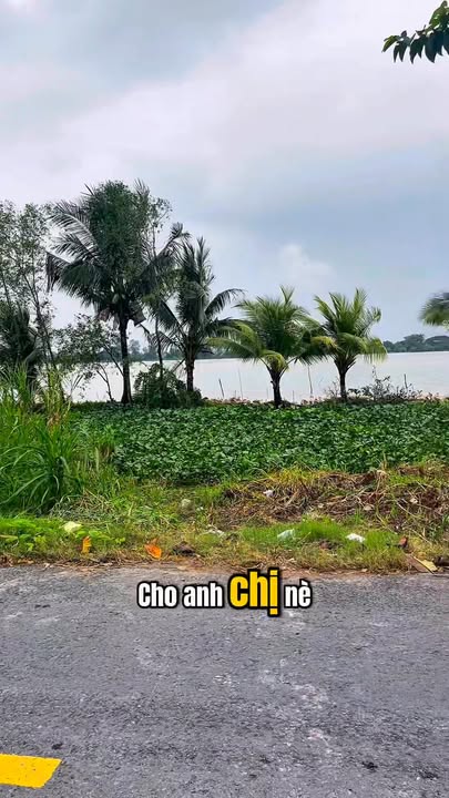 Đất nền Thới Xuân, Cờ Đỏ, Cần Thơ 11,050m² - Sổ hồng chính chủ, pháp lý rõ ràng!