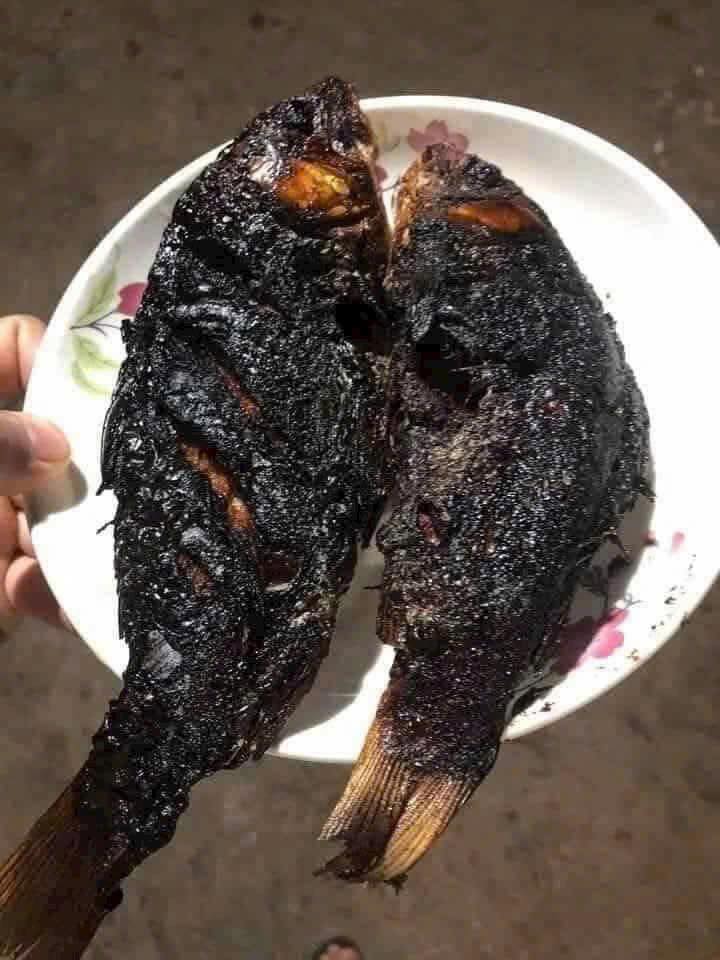 Đất nền Thạch Thắng 163.8m² giá chỉ 800 triệu - Cơ hội đầu tư không thể bỏ lỡ!