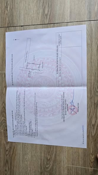 Đất nền góc 62m² tại ngõ Hoa Động, Thủy Nguyên, Hải Phòng - Đầu tư sinh lời ngay!