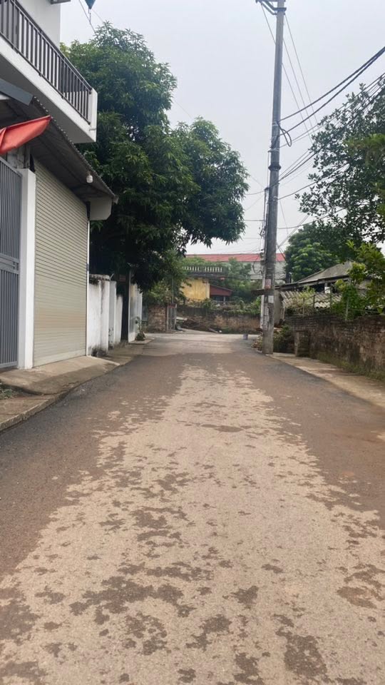 Đất nền Thanh Miếu, Việt Trì 100m² giá 3 tỷ - Đường thông tứ phía!