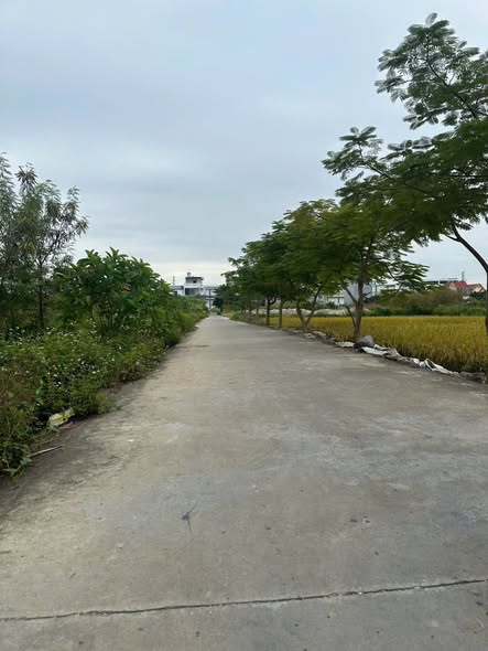 Đất đấu giá phường Thiên Hương, Thủy Nguyên, Hải Phòng 87m² giá 1.7 tỷ - Đầu tư sinh lời ngay!